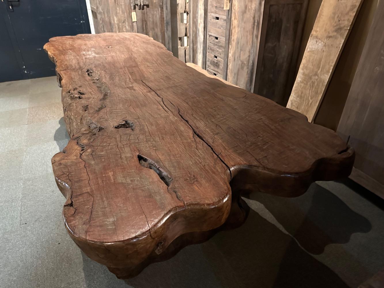 Boomstamtafel Klengkeng