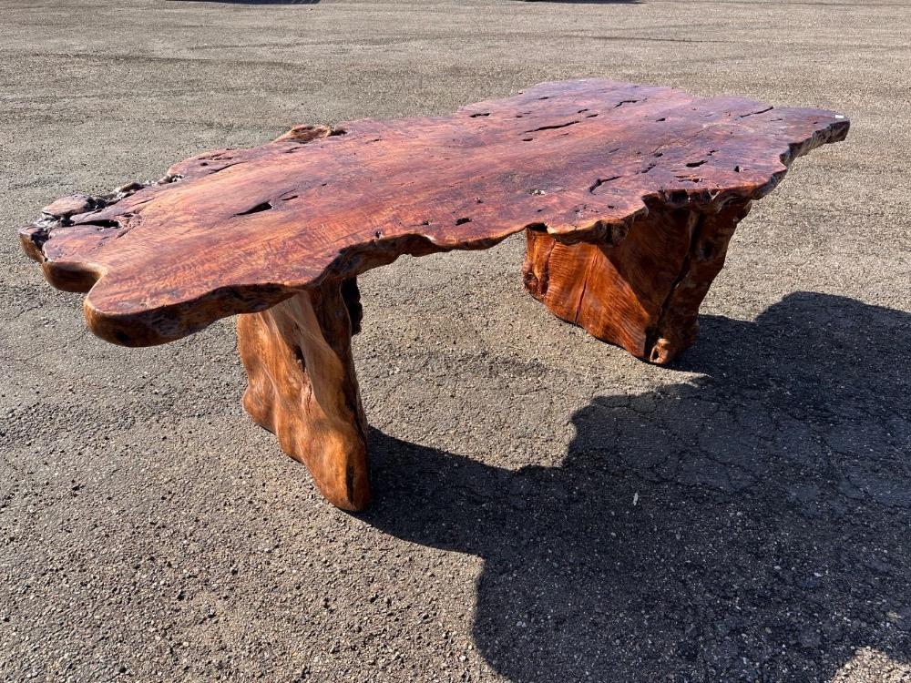 Boomstamtafel lichee