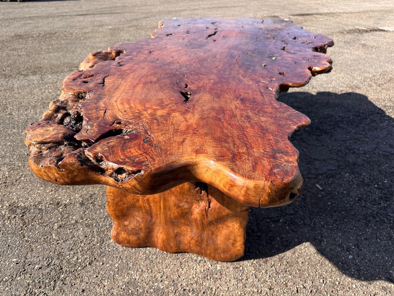 Boomstamtafel lichee