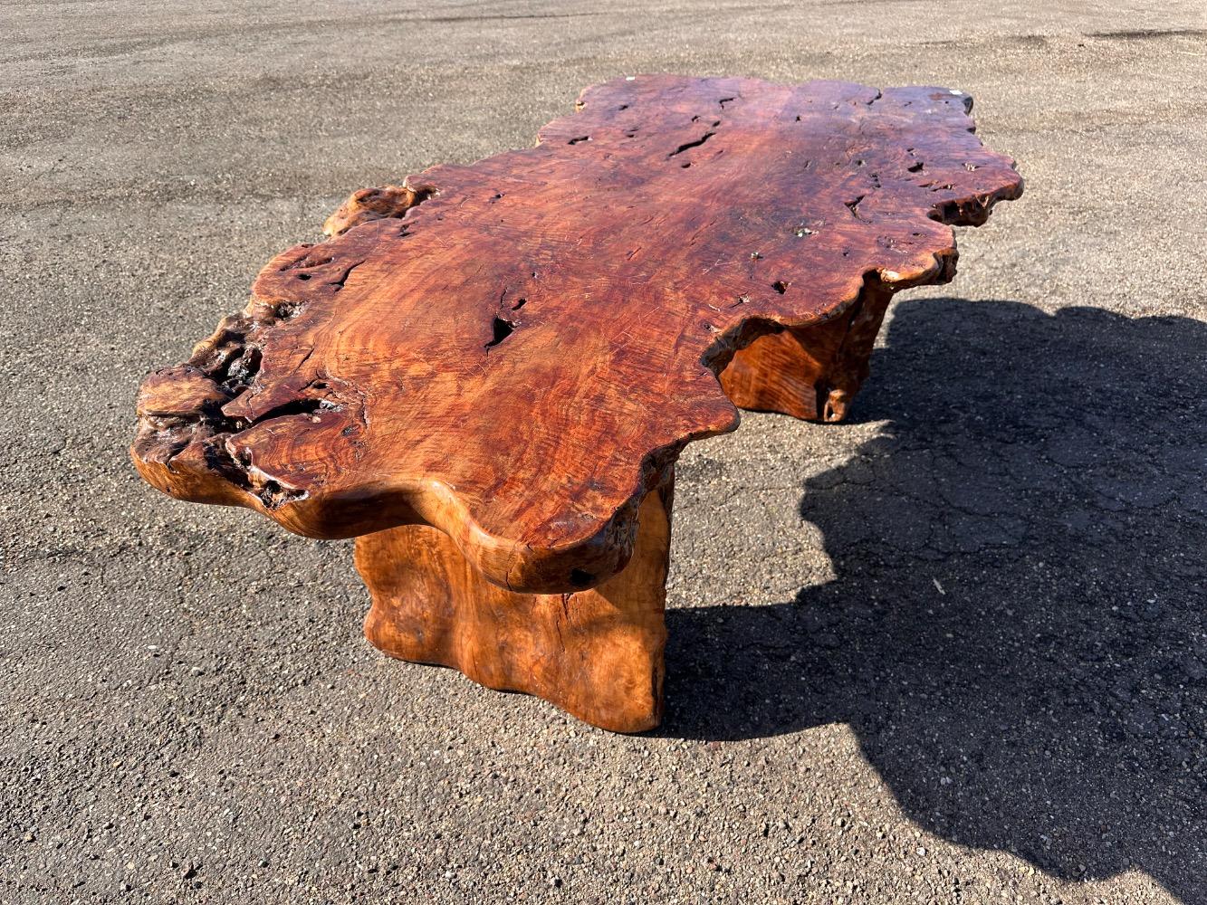 Boomstamtafel lichee 