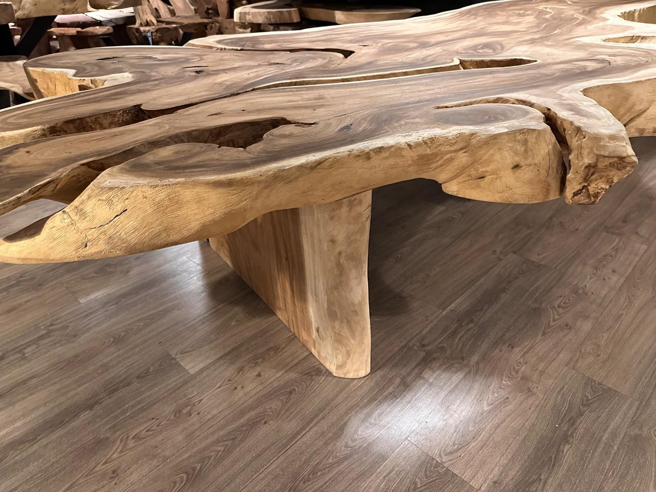 Boomstamtafel Suar 