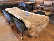 Boomstamtafel suar 36