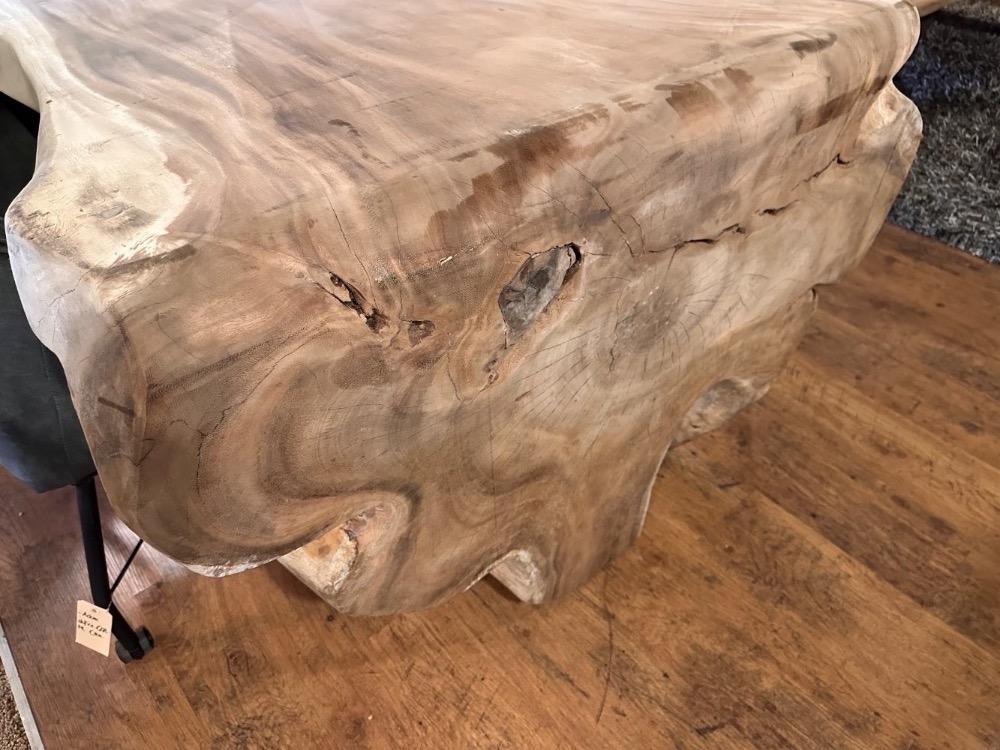 Boomstamtafel suar 36