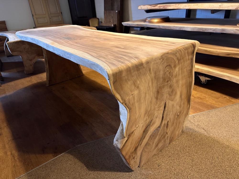 Suar bartafel waterval 37