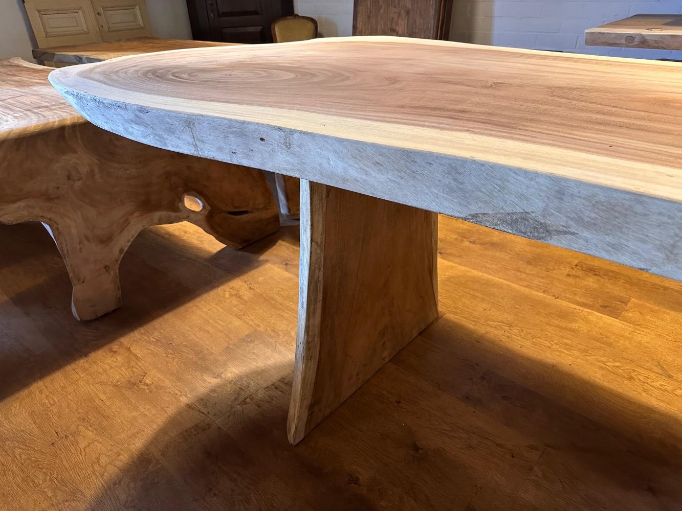 Suar bartafel waterval 37